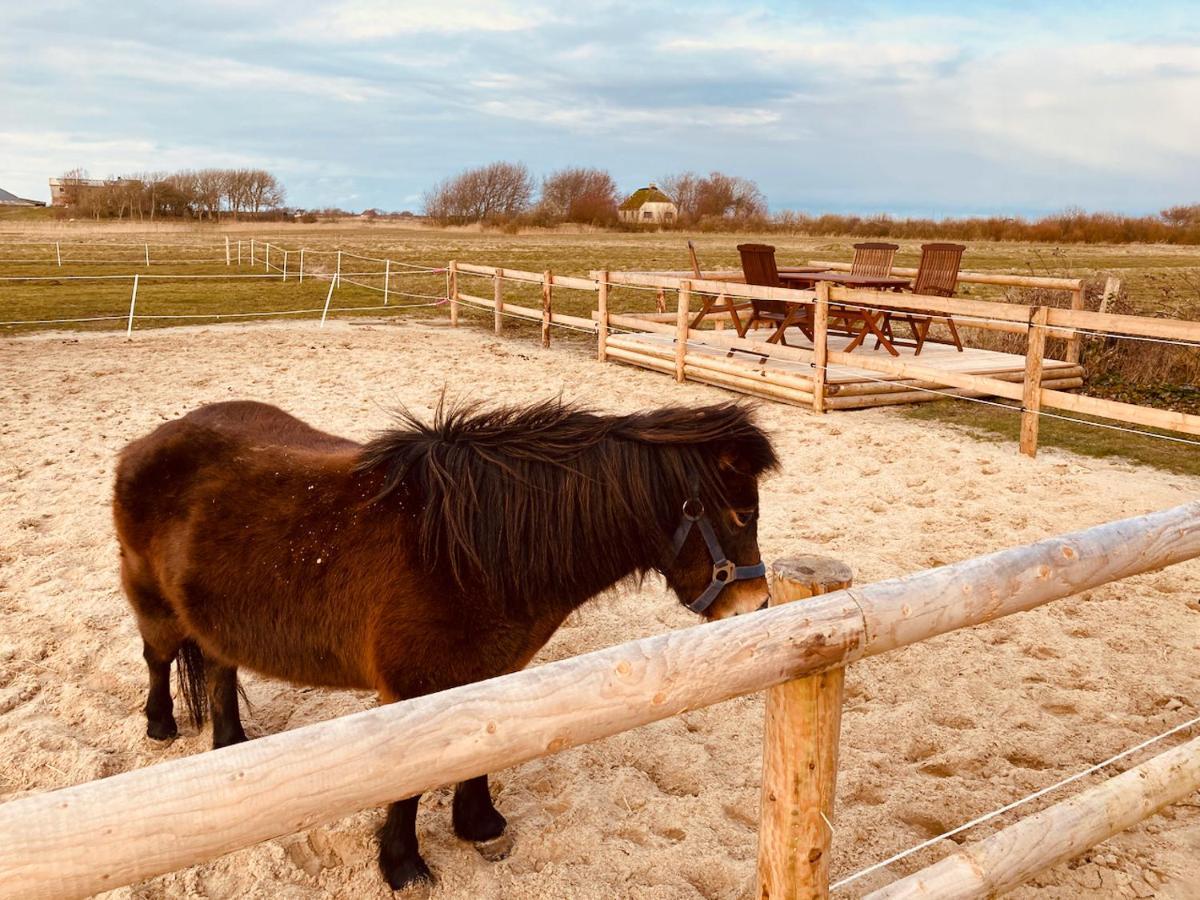 Hof Steinhuetten Boutique Apartments Westerhever Zewnętrze zdjęcie